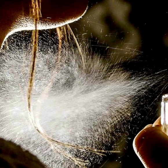 April Rose’s Curated Scents Line - Picture 5 of 16